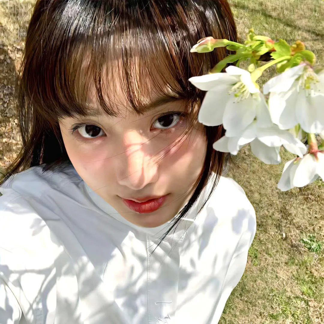 节日的准备